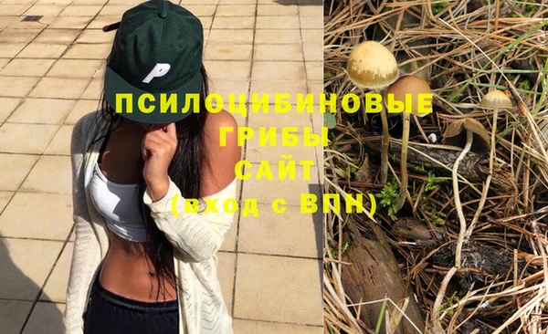 тгк Михайлов