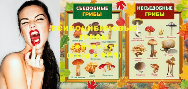 тгк Михайлов
