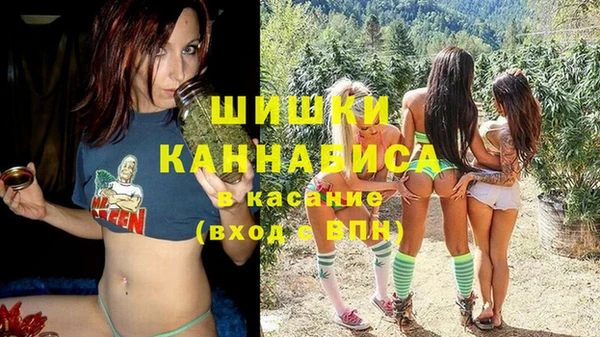молекула духа Анива