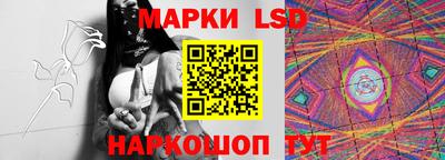 амф Камышлов