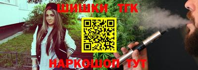 амф Камышлов
