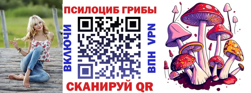 Псилоцибиновые грибы Cubensis  Шумерля 