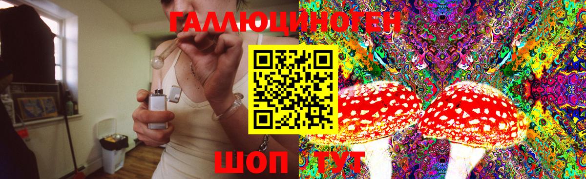 Галлюциногенные грибы Cubensis Шумерля