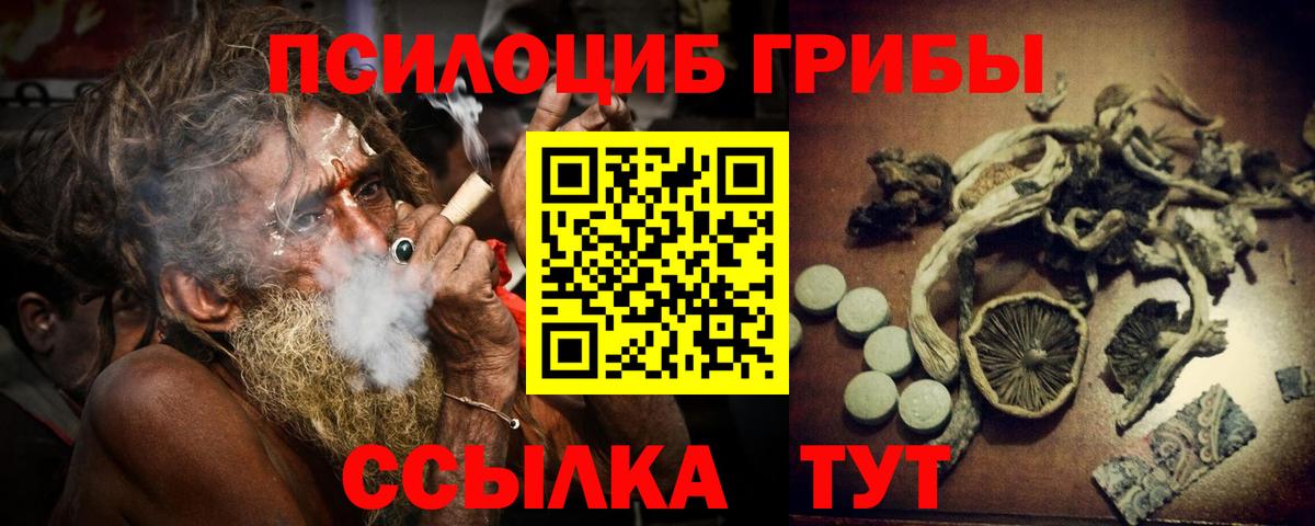 Псилоцибиновые грибы GOLDEN TEACHER Шумерля