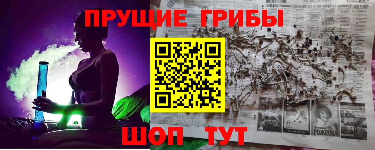 купить наркоту  Вход с VPN  Шумерля  Галлюциногенные грибы мухоморы 